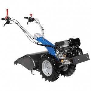 Motoculteur Staub STR50RK 5.5cv Avec Fraise 50cm